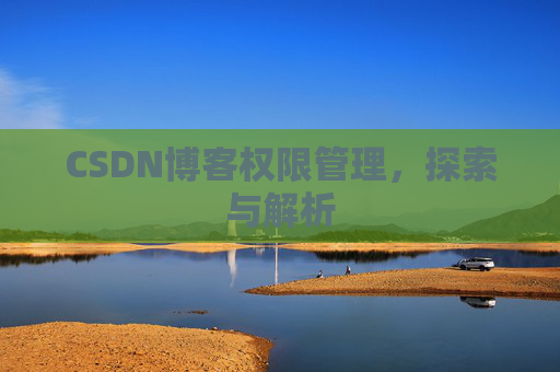 CSDN博客权限管理，探索与解析